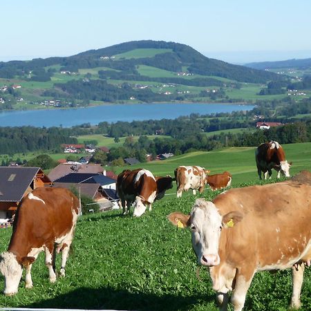 Familienferienhof Stabauer Zell am Moos Ngoại thất bức ảnh