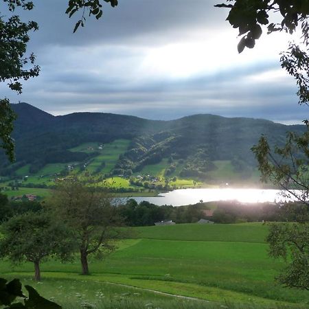 Familienferienhof Stabauer Zell am Moos Ngoại thất bức ảnh