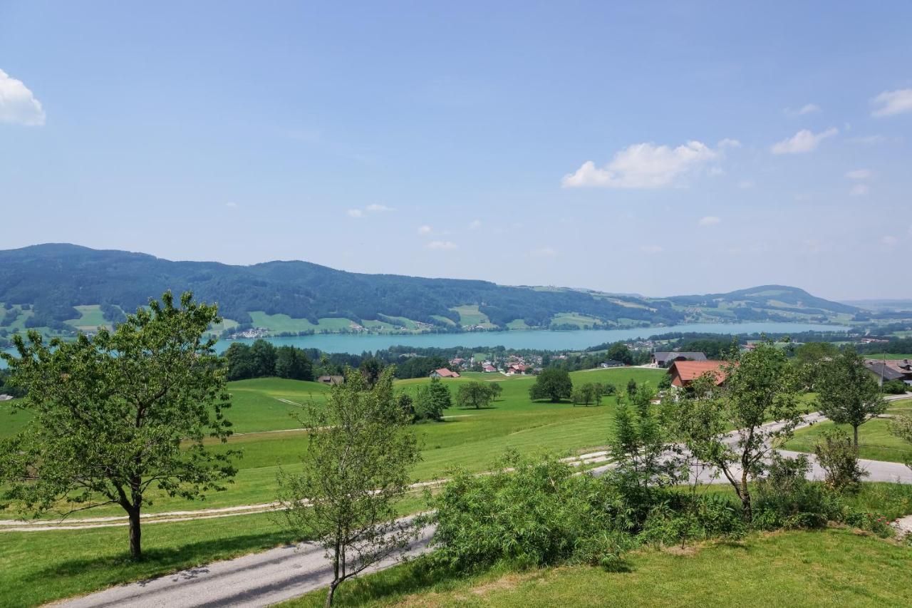 Familienferienhof Stabauer Zell am Moos Ngoại thất bức ảnh