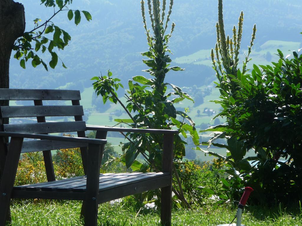 Familienferienhof Stabauer Zell am Moos Ngoại thất bức ảnh