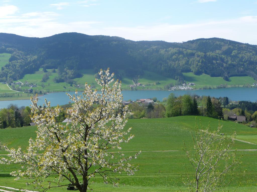 Familienferienhof Stabauer Zell am Moos Ngoại thất bức ảnh