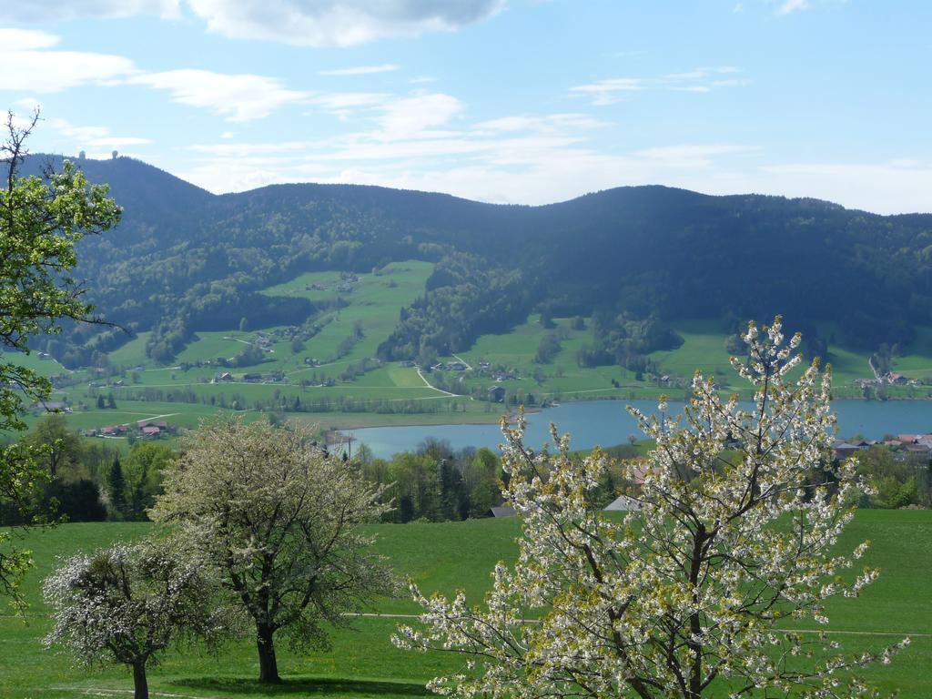 Familienferienhof Stabauer Zell am Moos Ngoại thất bức ảnh