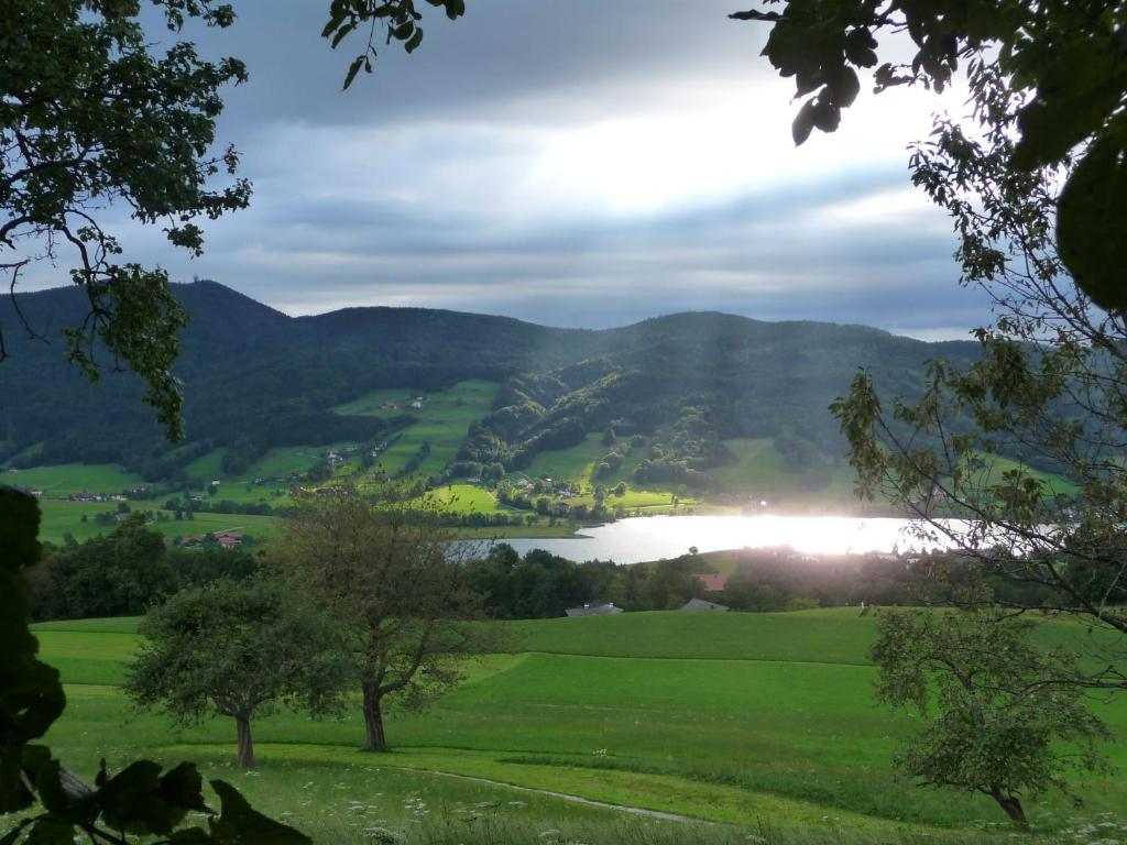 Familienferienhof Stabauer Zell am Moos Ngoại thất bức ảnh